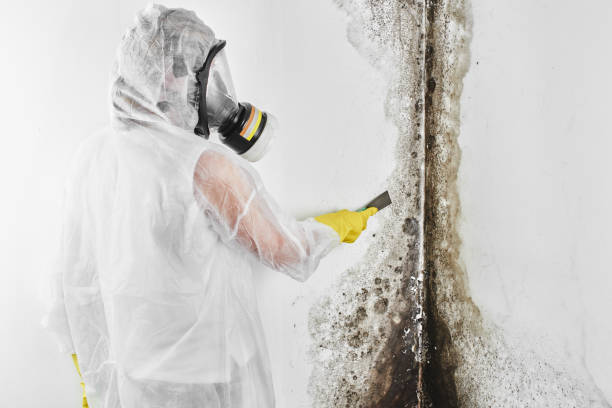 Best Crawl Space Mold Removal  in Old Miakka, FL