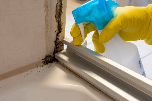Best Residential Mold Removal  in Old Miakka, FL